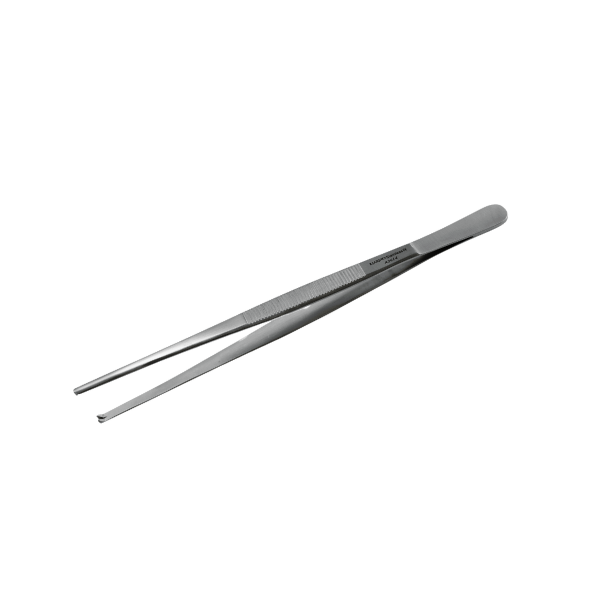 Forceps Tissue 15cm 1x2